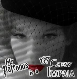 Meet your Posher, Tehya raegan